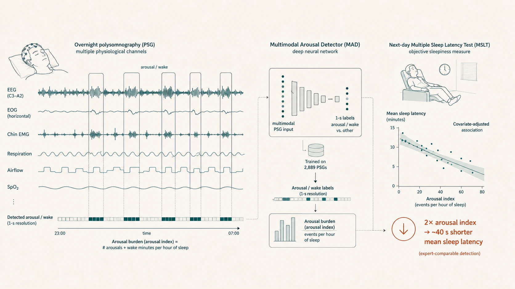Diagram of a multimodal deep-learning arousal detector applied to polysomnography, linking detected arousal burden to next-day multiple sleep latency test results.