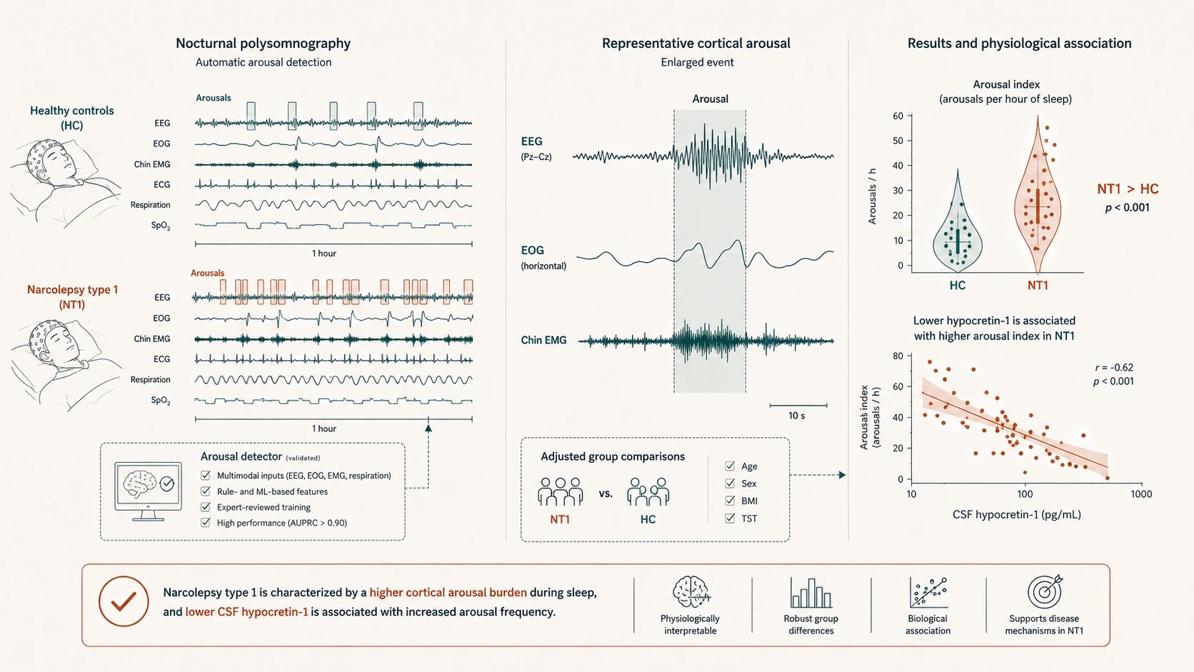 Diagram comparing cortical arousal frequency between healthy controls and narcolepsy type 1, showing a higher arousal index in narcolepsy and its association with lower CSF hypocretin-1.