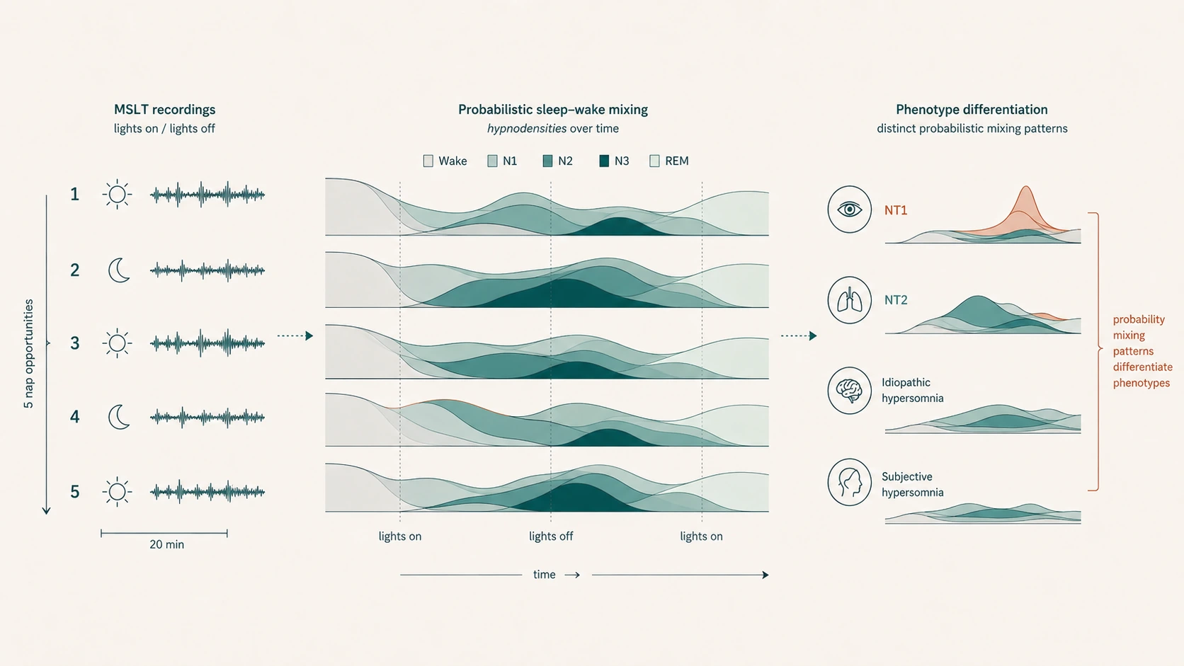 Diagram of probabilistic sleep-wake mixing (hypnodensities) across five MSLT nap recordings, differentiating narcolepsy type 1, narcolepsy type 2, idiopathic hypersomnia, and subjective hypersomnia.