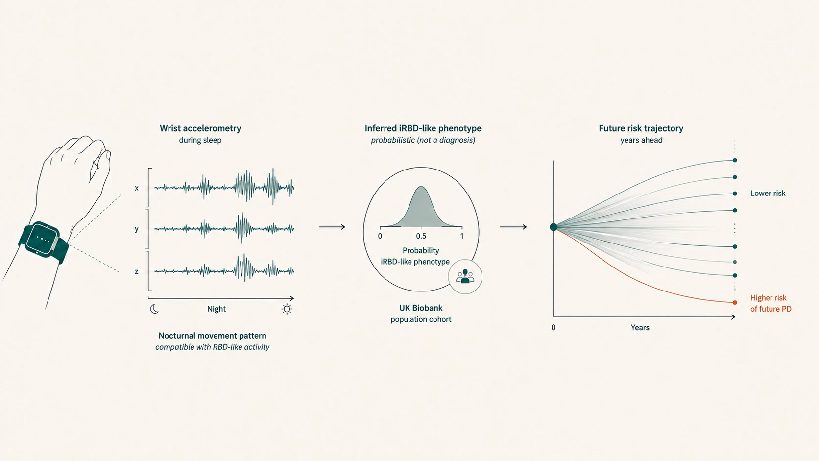 Diagram of an iRBD-like phenotype inferred probabilistically from wrist accelerometry in a UK Biobank cohort, associated with a higher future risk trajectory for Parkinson's disease.