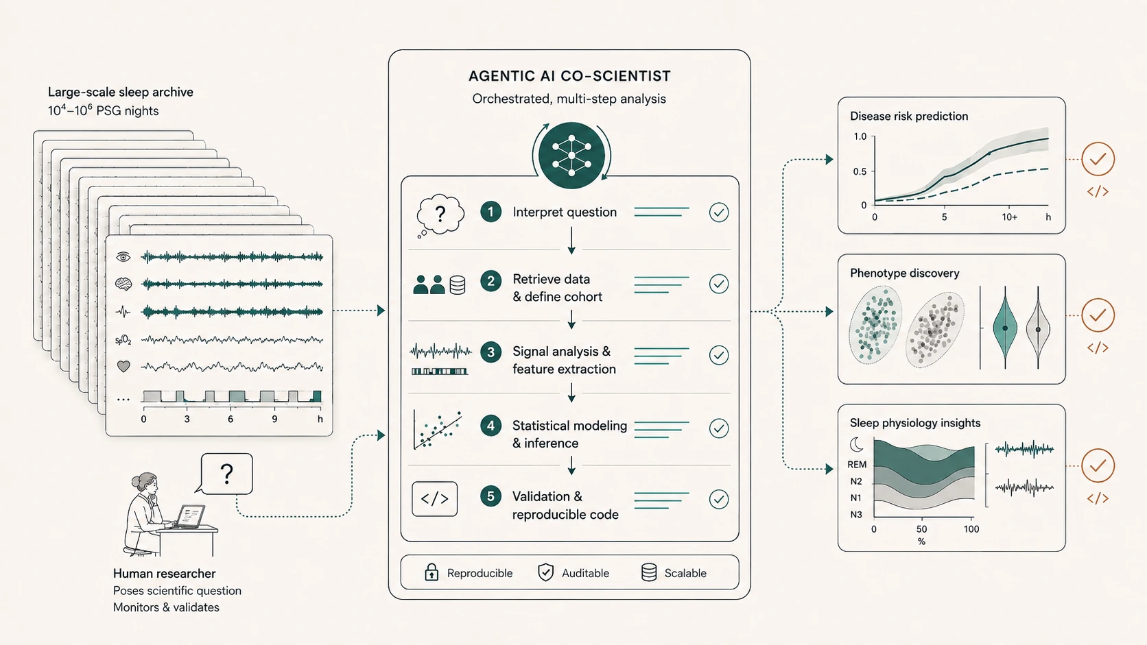 Diagram of an agentic AI co-scientist orchestrating multi-step analysis of a large-scale polysomnography archive, from question interpretation and data retrieval through signal analysis to disease-risk prediction and phenotype discovery.